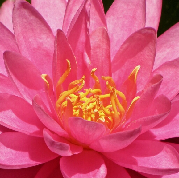 lovingkindness9